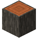 Acacia Log