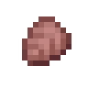 Armadillo Scute
