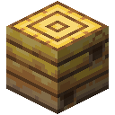Bee Nest