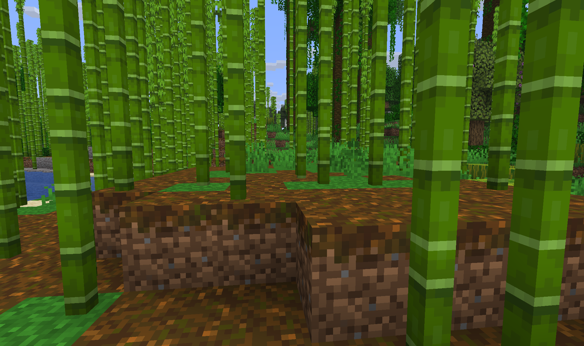 Dense Bamboo Jungle Vegetation - Thick vegetation and dim lighting