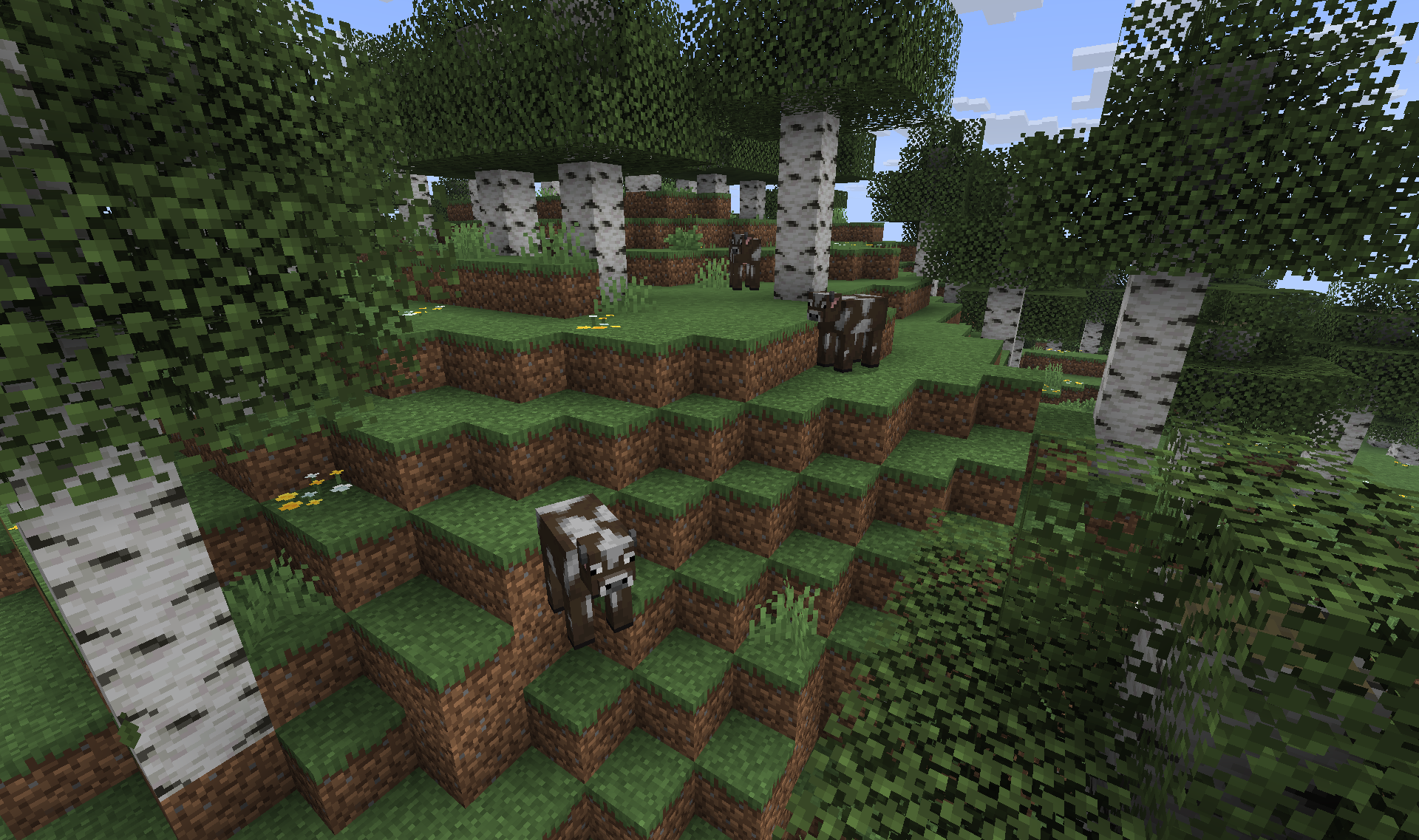 Birch Forest Wildlife - Animals roaming among white-barked trees