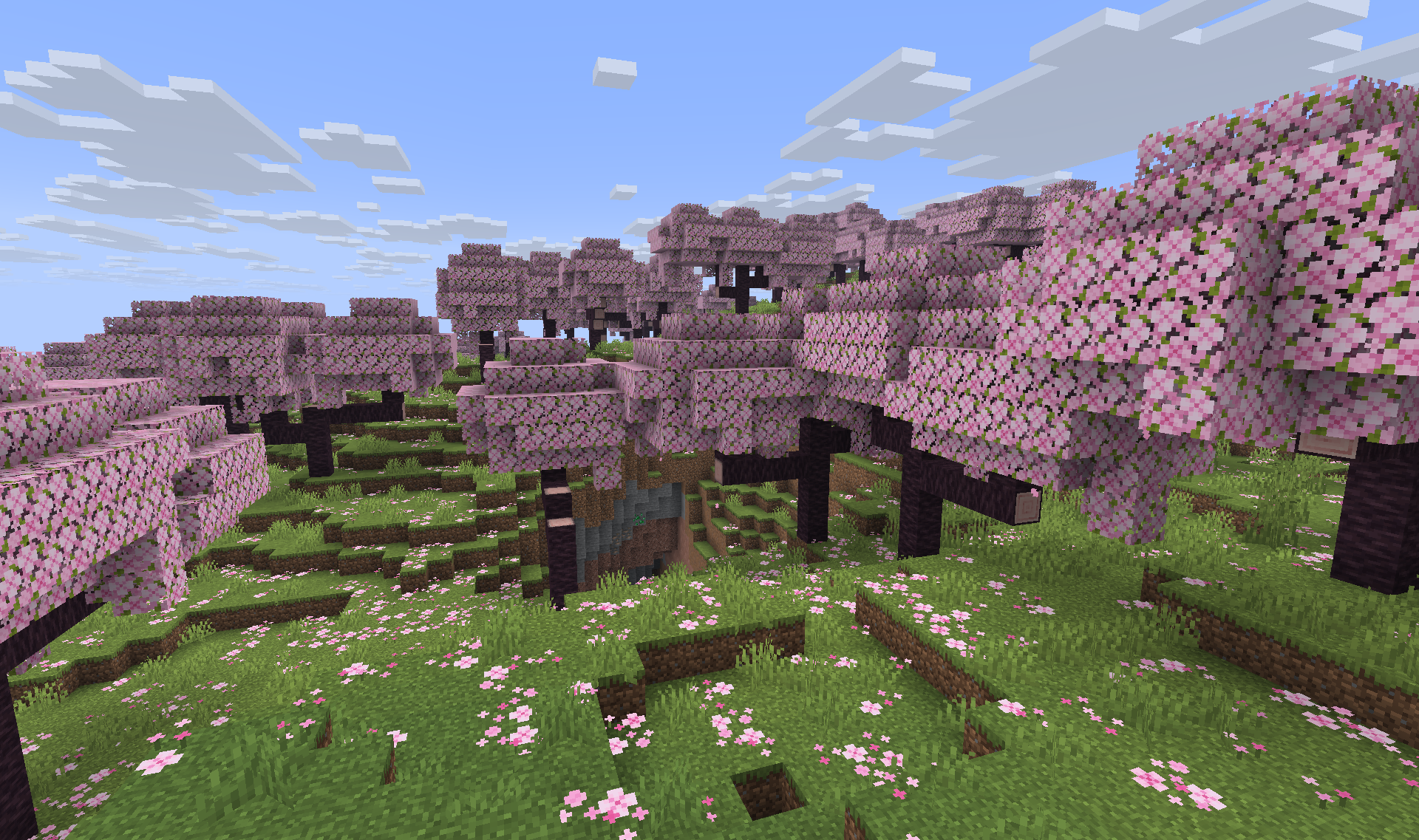 Cherry Blossom Garden - Beautiful gardens with cherry trees and pink petals