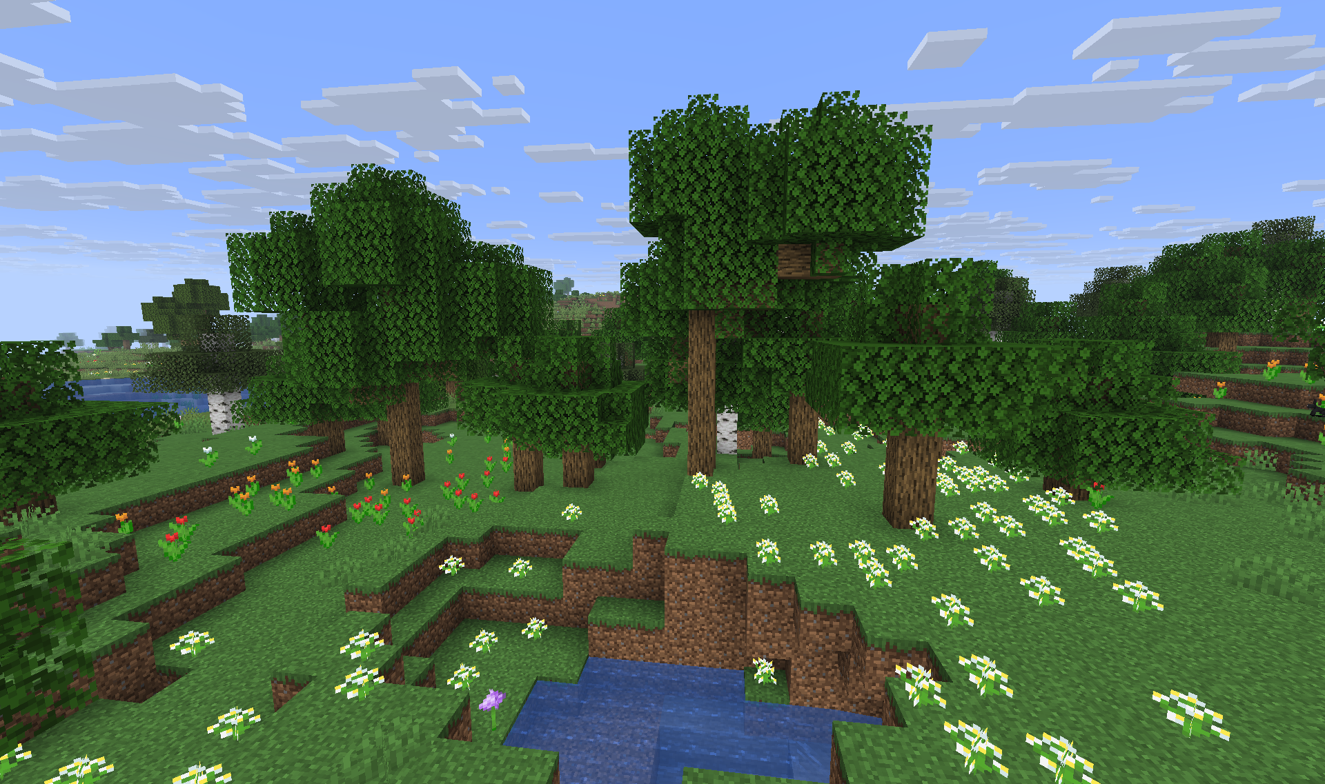 Ancient Trees and Flowers