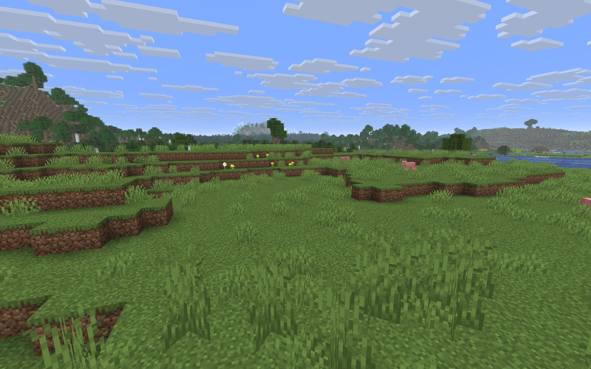 Plains