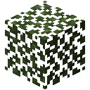 Birch Leaves