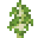 Birch Sapling