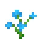 Blue Orchid