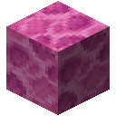 Brain Coral Block
