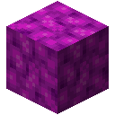 Bubble Coral Block