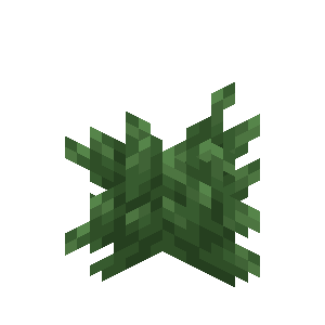 Bush
