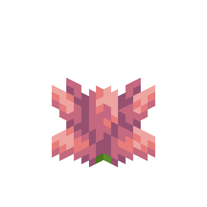 Cactus Flower