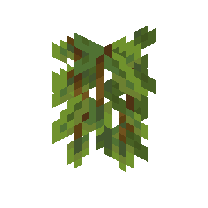 Cave Vines