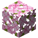 Cherry Leaves