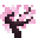 Cherry Sapling