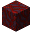 Crimson Hyphae