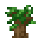 Dark Oak Sapling