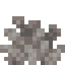 Dead Bubble Coral