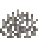 Dead Fire Coral Fan