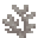 Dead Horn Coral