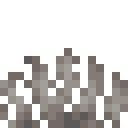 Dead Horn Coral Fan