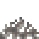 Dead Tube Coral Fan