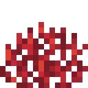 Fire Coral Fan