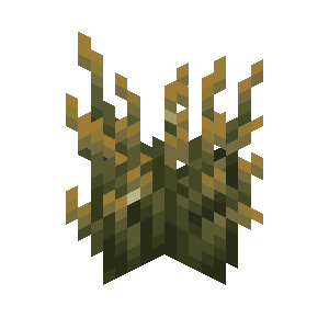 Firefly Bush