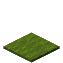 Green Carpet