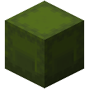 Green Shulker Box