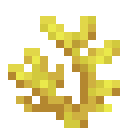 Horn Coral