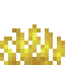 Horn Coral Fan