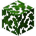 Jungle Leaves