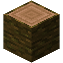 Jungle Log