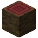 Mangrove Log