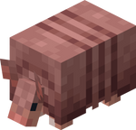Armadillo