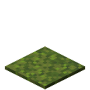 Moss Carpet
