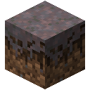 Mycelium