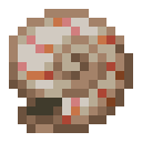 Nautilus Shell