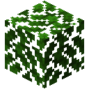 Oak Leaves