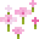 Pink Petals