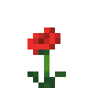 Poppy