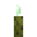 Sea Pickle