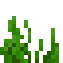Seagrass
