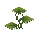 Small Dripleaf