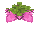 Spore Blossom