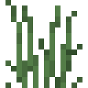Tall Grass