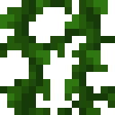 Vine