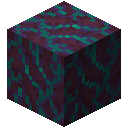 Warped Hyphae