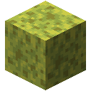 Wet Sponge