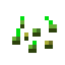 Wheat Seeds